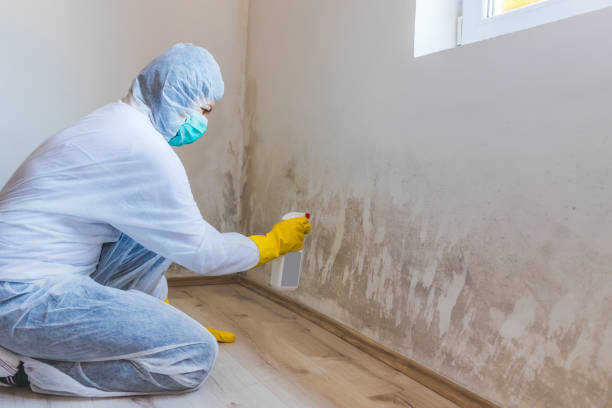 Hvac And Air Duct Mold Remediation inspection of HVAC system in Lanham